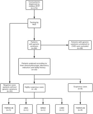 Screening for Genetic Mutations for the Early Diagnosis of Common Variable Immunodeficiency in Children With Refractory Immune Thrombocytopenia: A Retrospective Data Analysis From a Tertiary Children's Center